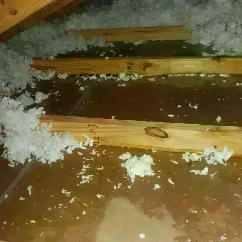 Attic Water Damage in East Valley, NV