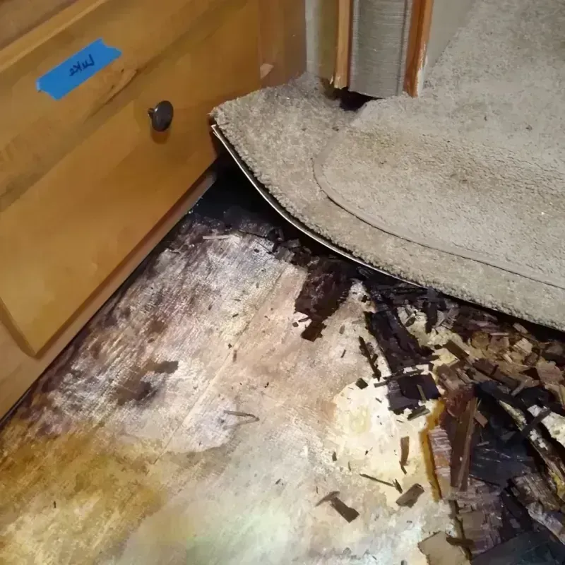 Wood Floor Water Damage in East Valley, NV